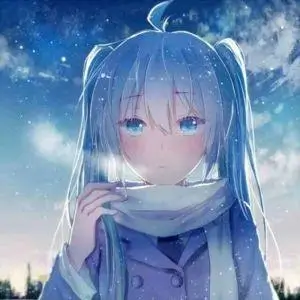 会员迷雾收藏家的头像